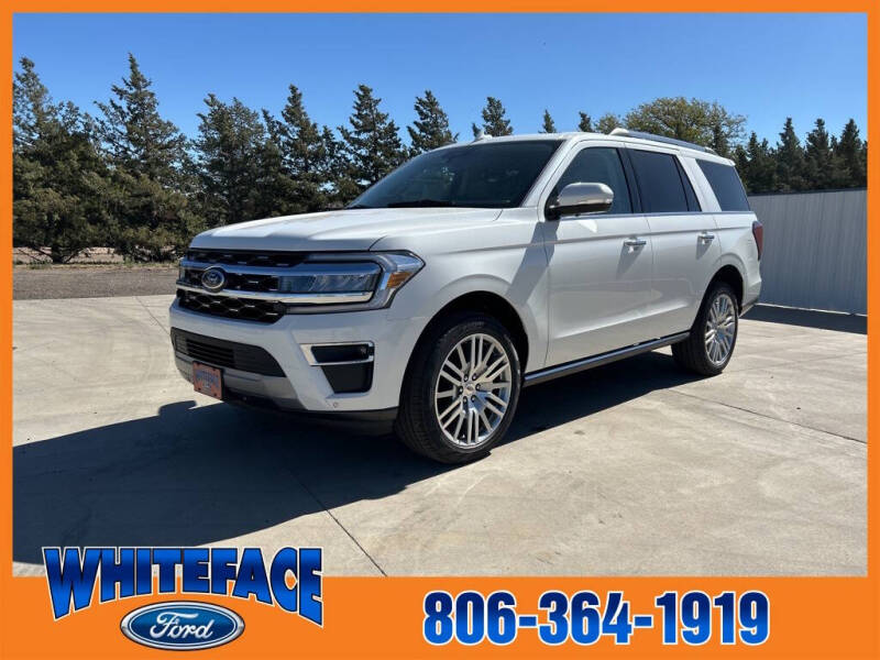 2024 Ford Expedition for sale at Whiteface Ford in Hereford TX