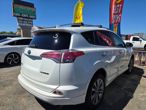 2017 Toyota RAV4 Platinum