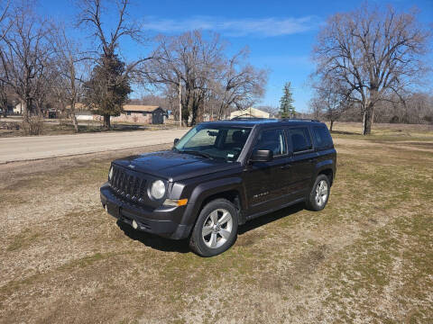 2014 Jeep Patriot for sale at Nelsons Auto Sales in Park Hills MO