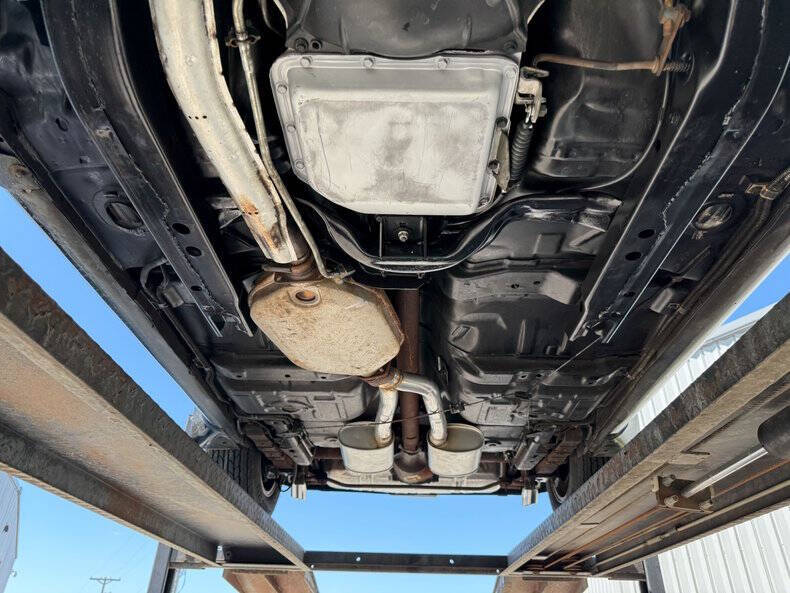 1981 Pontiac Firebird Trans Am