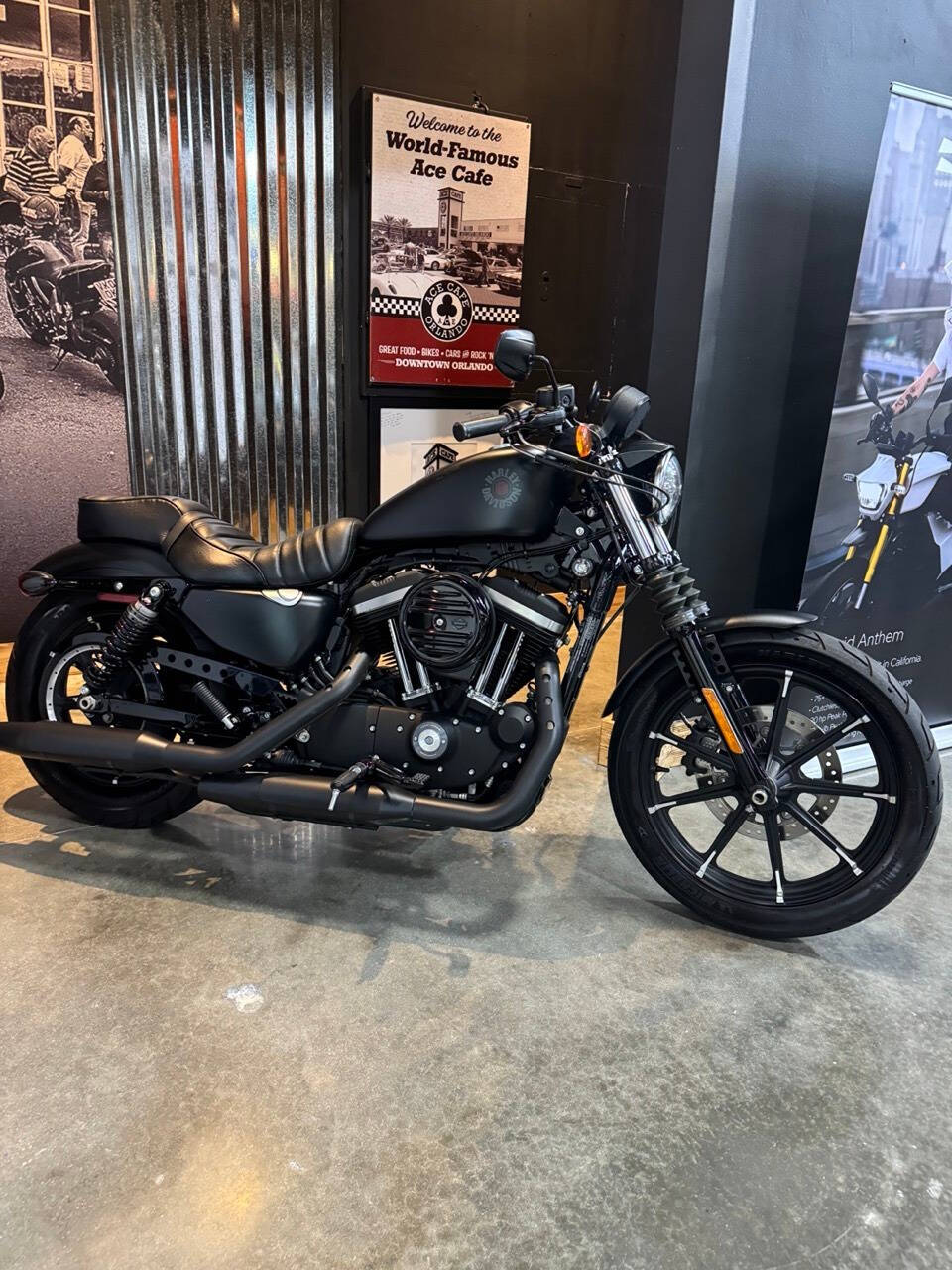 2022 Harley-Davidson XL 883 Sportster for sale at TEXAS MOTORS POWERSPORT in ORLANDO, FL