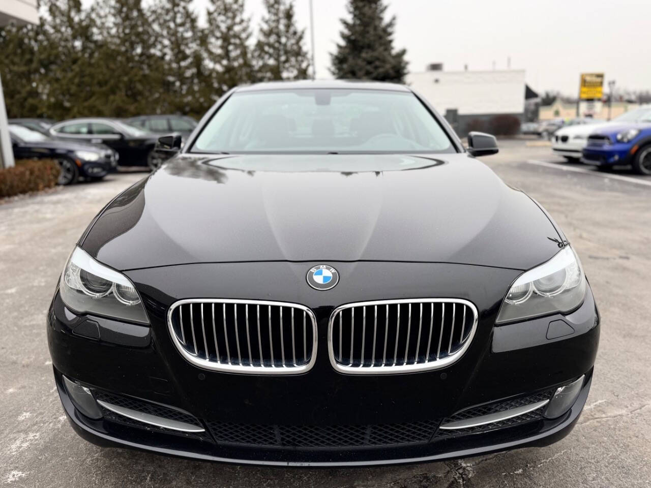 2013 BMW 5 Series for sale at Opus Motorcars in Utica, MI