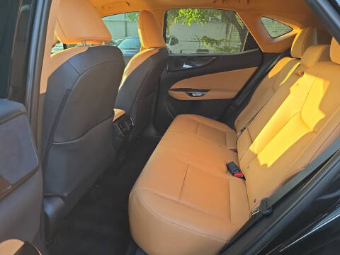 2025 Lexus NX 250 Premium