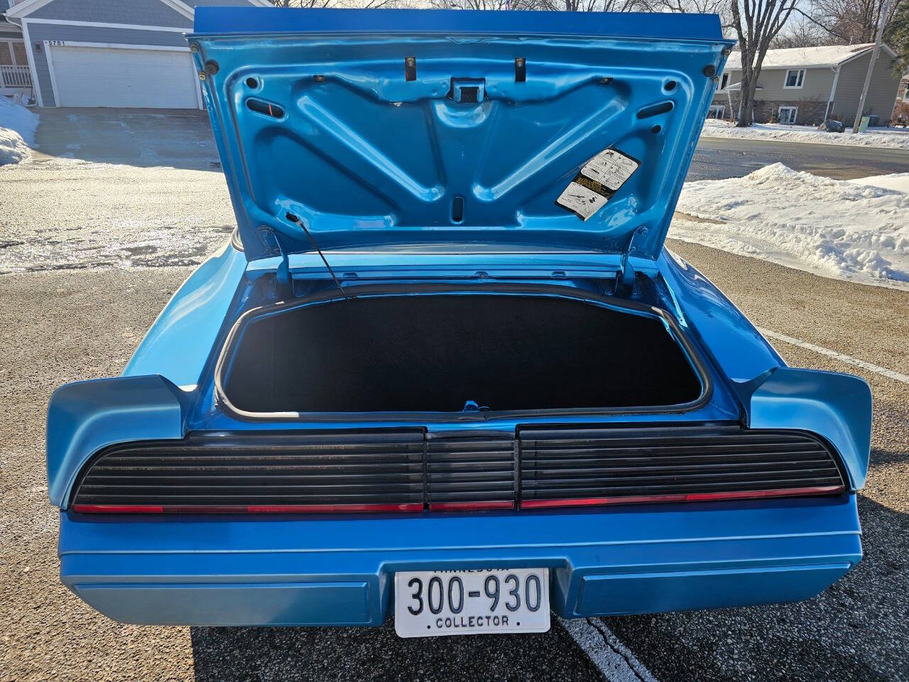 1980 Pontiac Firebird Trans Am 81