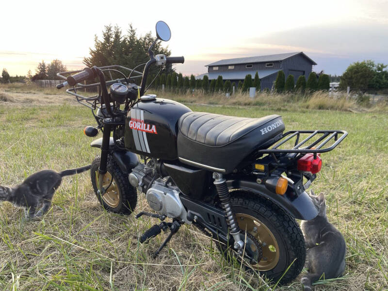 1983 Honda Gorilla