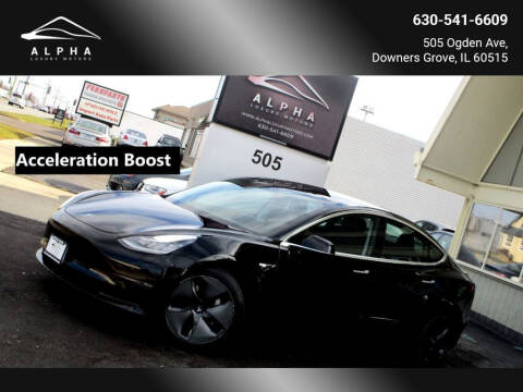 2019 Tesla Model 3 for sale at Alpha Luxury Motors in Downers Grove IL