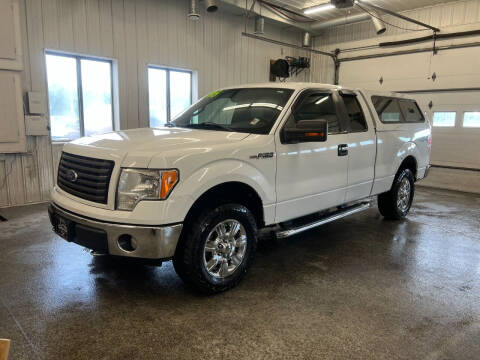 2010 Ford F-150 for sale at Sand's Auto Sales in Cambridge MN