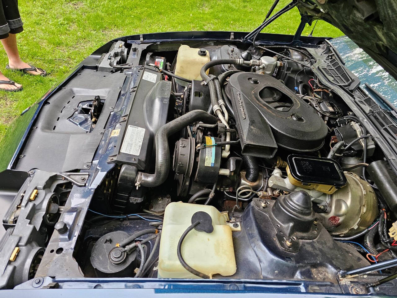 1982 Chevrolet Camaro 169
