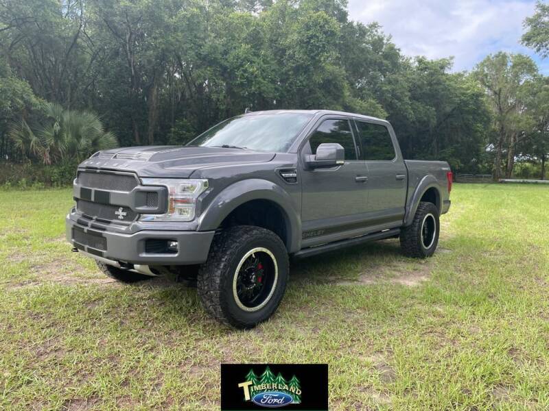 2020 Ford F-150 for sale at TIMBERLAND FORD in Perry FL