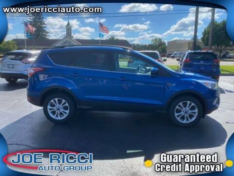 2018 Ford Escape for sale at JOE RICCI AUTOMOTIVE in Clinton Township MI