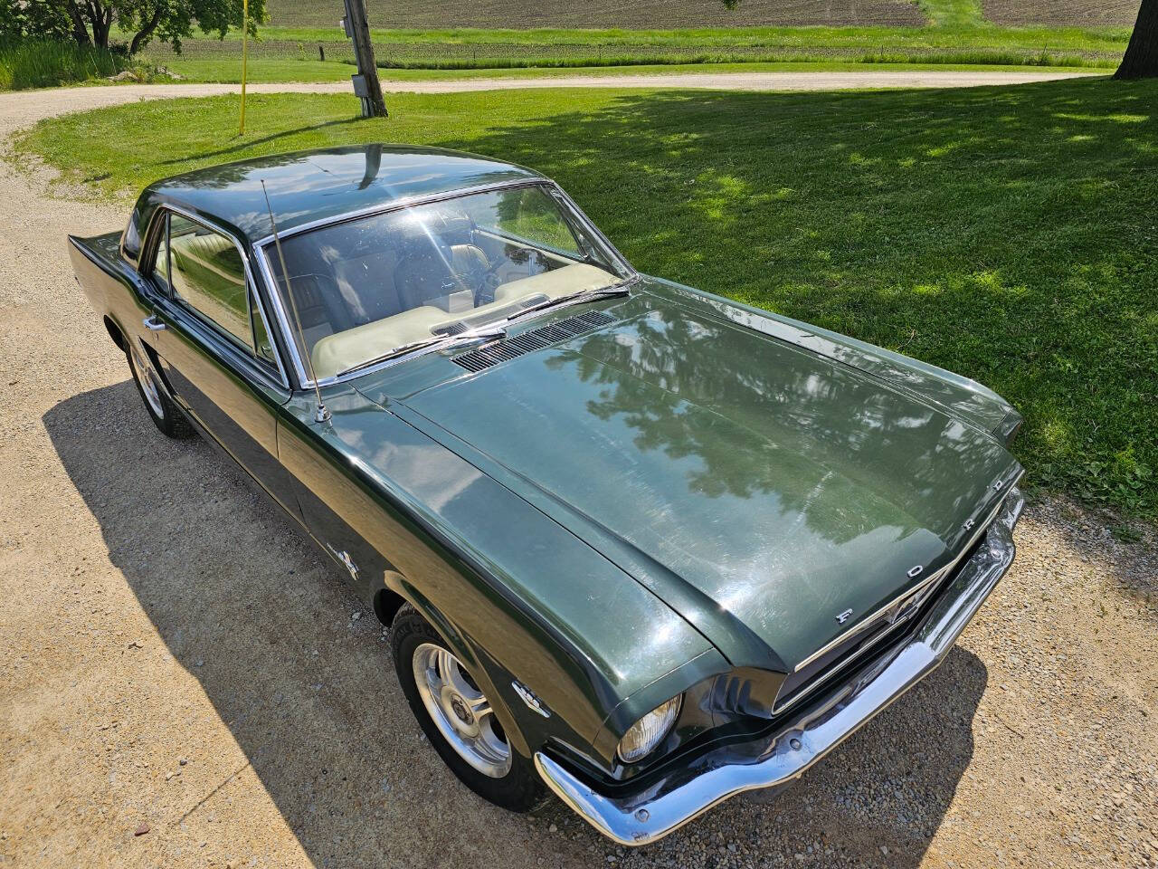 1965 Ford Mustang 11