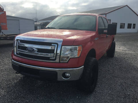 2014 Ford F-150 for sale at CAROLINA TOY SHOP LLC in Hartsville SC