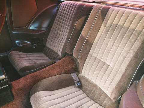 1983 Pontiac Firebird Trans Am