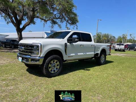 2024 Ford F-350 Super Duty for sale at TIMBERLAND FORD in Perry FL
