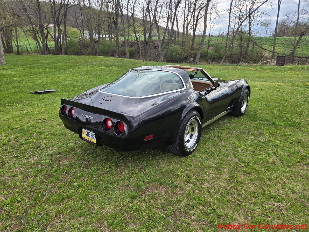 1981 Chevrolet Corvette 13