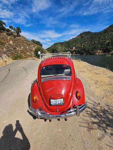 1967 Volkswagen Beetle