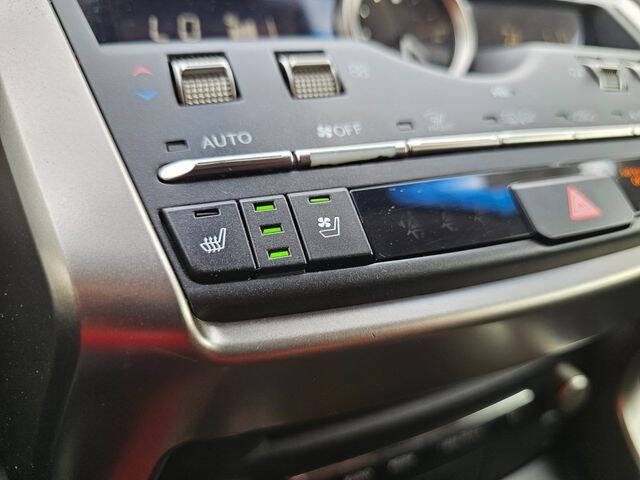 2019 Lexus NX 300 F SPORT