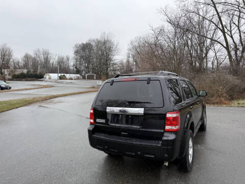 2010 Ford Escape Limited