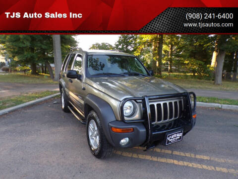 2004 Jeep Liberty for sale at TJS Auto Sales Inc in Roselle NJ