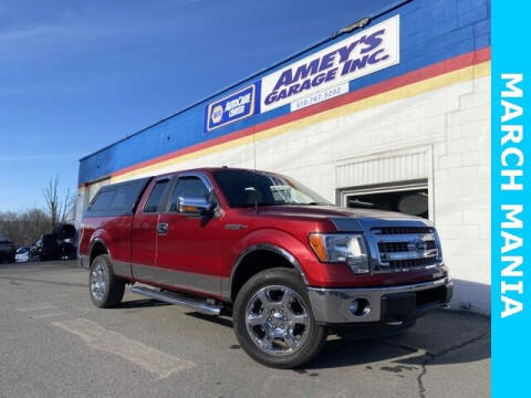 2014 Ford F-150 for sale at Amey's Garage Inc in Cherryville PA