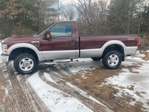 2010 Ford F-250 Super Duty for sale at Expressway Auto Auction in Howard City MI