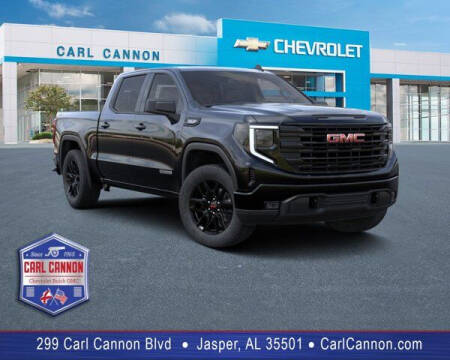 2023 GMC Sierra 1500 for sale at Carl Cannon in Jasper AL