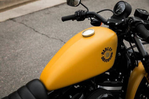 2019 Harley-Davidson Iron 883