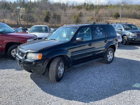 2003 Ford Escape for sale at Bailey's Auto Sales in Cloverdale VA