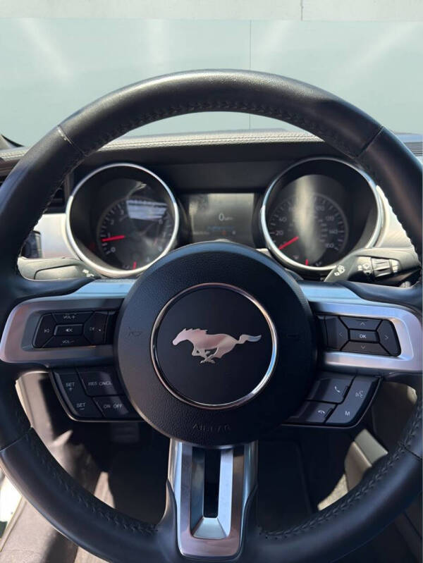 2019 Ford Mustang GT Premium