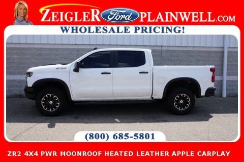 2022 Chevrolet Silverado 1500 for sale at Zeigler Ford of Plainwell- Jeff Bishop - Zeigler Ford of Lowell in Lowell MI