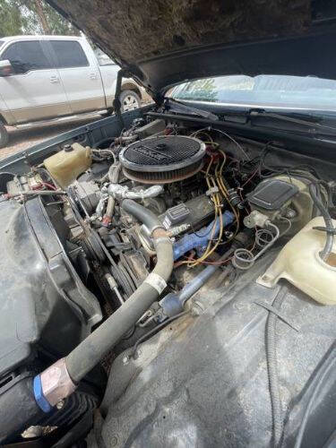 1981 Chevrolet El Camino