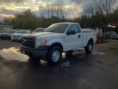 2013 Ford F-150 for sale at TR MOTORS in Gastonia NC
