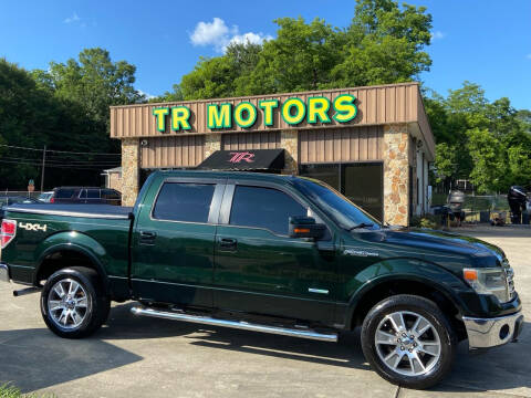 2014 Ford F-150 for sale at TR Motors in Opelika AL