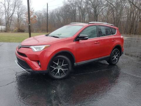 2016 Toyota RAV4 for sale at Depue Auto Sales Inc in Paw Paw MI