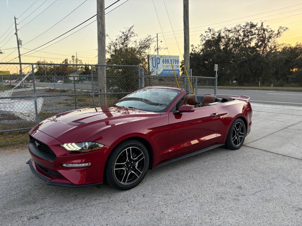 2019 Ford Mustang for sale at Hobgood Auto Sales in Land O Lakes, FL