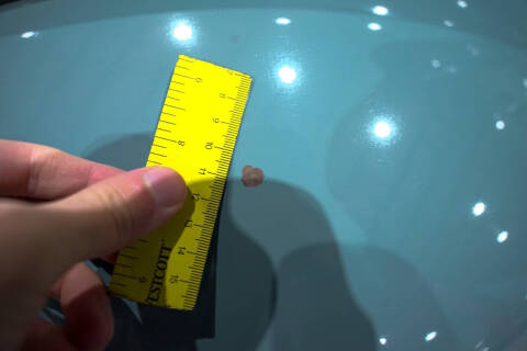 1965 Volkswagen Beetle