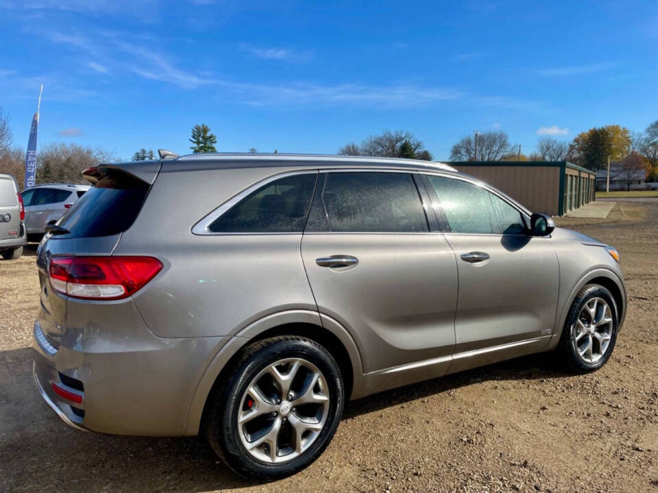 2017 Kia Sorento for sale at Top Gear Auto Sales LLC in Le Roy, MN