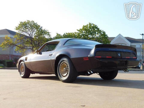 1981 Pontiac Firebird Trans Am