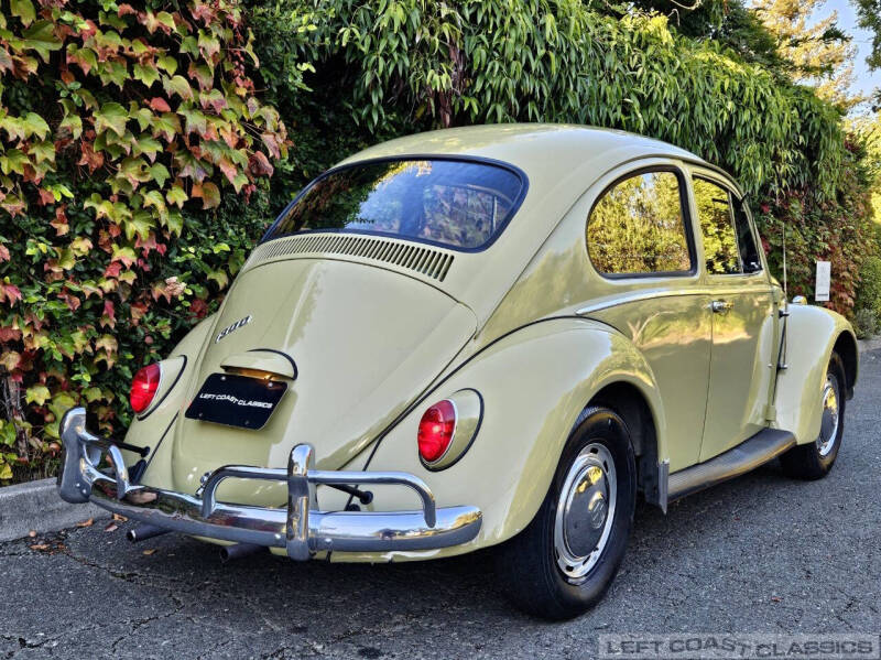 1966 Volkswagen Beetle