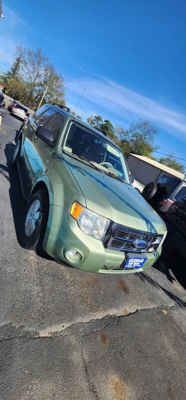 2008 Ford Escape XLT photo 5