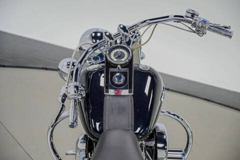 2009 Harley-Davidson FLTSN