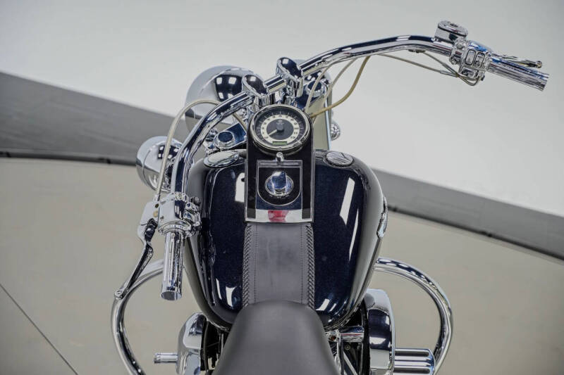 2009 Harley-Davidson FLTSN