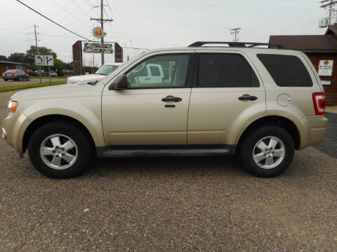 2011 Ford Escape XLT Photo