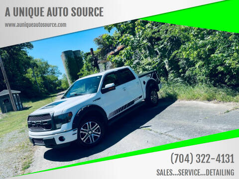 2014 Ford F-150 for sale at A UNIQUE AUTO SOURCE in Albemarle NC