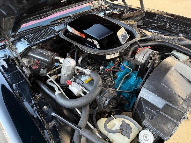 1979 Pontiac Trans Am