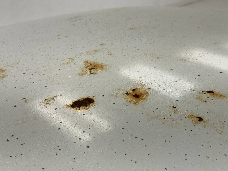 1955 Chevrolet Bel Air