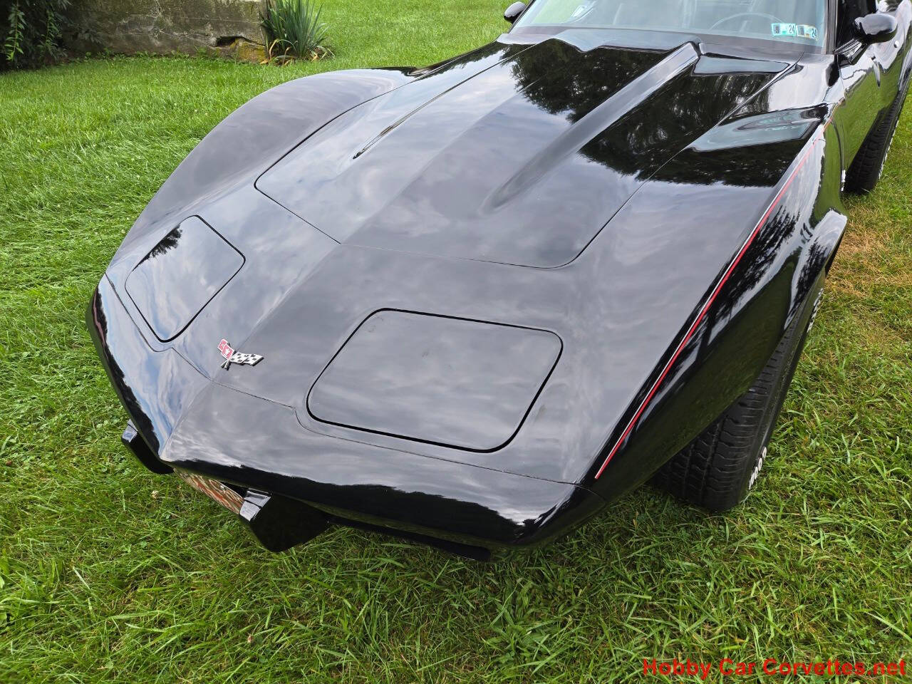 1979 Chevrolet Corvette 19