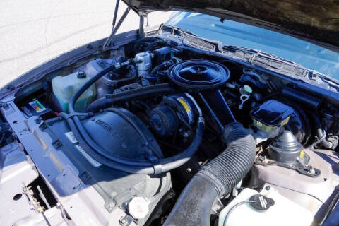 1984 Pontiac Firebird