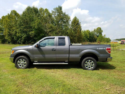 2013 Ford F-150 for sale at Southard Auto Sales LLC in Hartford KY