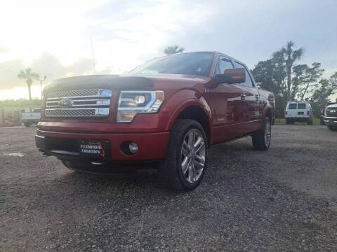 2013 Ford F-150 for sale at FLORIDA TRUCKS in Deland FL